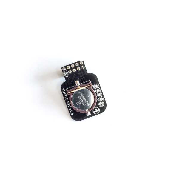 Raspberry Pi RTC Modülü
